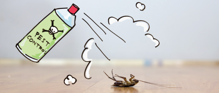 Pest Prevention in Arlington: Steps to Protect Your Home