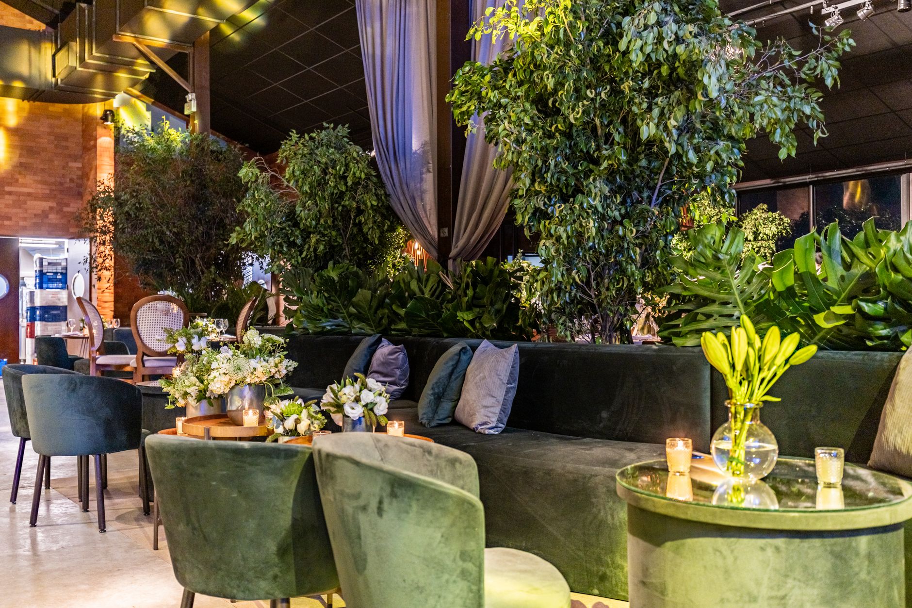 Sophisticated event venue featuring elegant seating, lush plants, and ambient lighting. — Scommesse Live Calcio Trucchi
