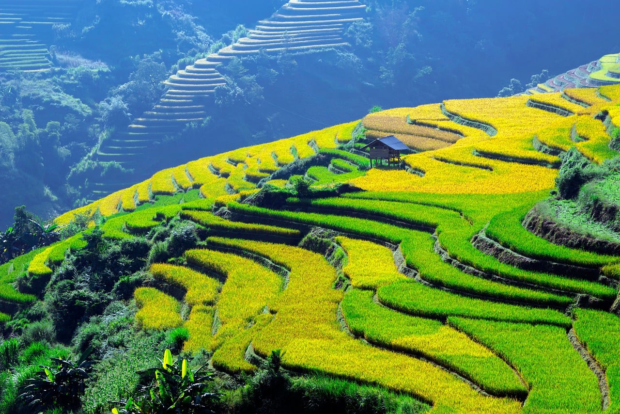 Vietnam, blind cang brush, terraces — Transform Your Space: BTO Renovation Packages That Actually Work